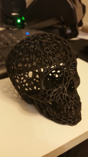 Skull lamps - Voronoi Style 3D Print 6690 Skull lamps - Voronoi Style 3D Print 6690