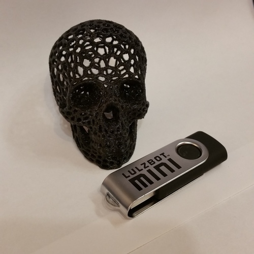 Skull lamps - Voronoi Style 3D Print 6692 Skull lamps - Voronoi Style 3D Print 6692