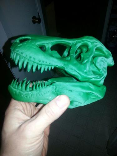 The T-Rex Skull 3D Print 6824 The T-Rex Skull 3D Print 6824
