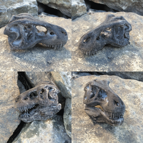 The T-Rex Skull 3D Print 6866 The T-Rex Skull 3D Print 6866