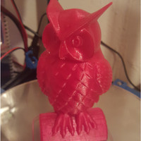 Small Owl 3D Printing 6928
