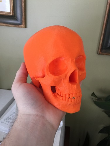 Skull 3D Print 6950 Skull 3D Print 6950