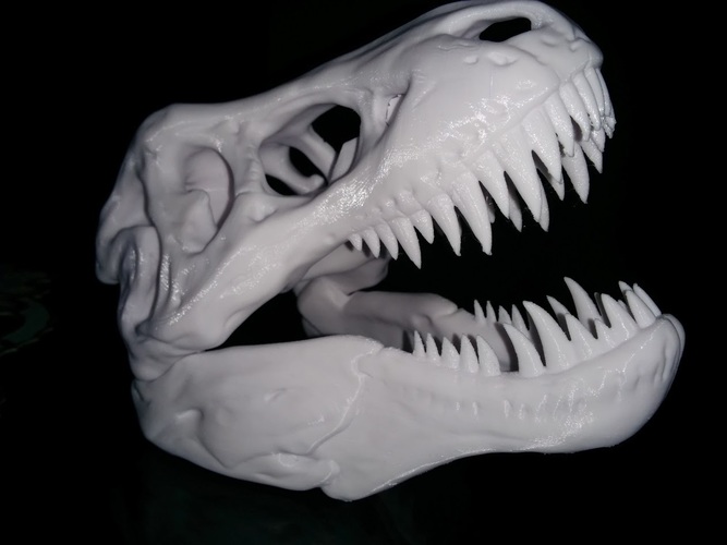 The T-Rex Skull 3D Print 6994 The T-Rex Skull 3D Print 6994