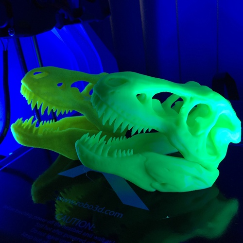 The T-Rex Skull 3D Print 7087 The T-Rex Skull 3D Print 7087