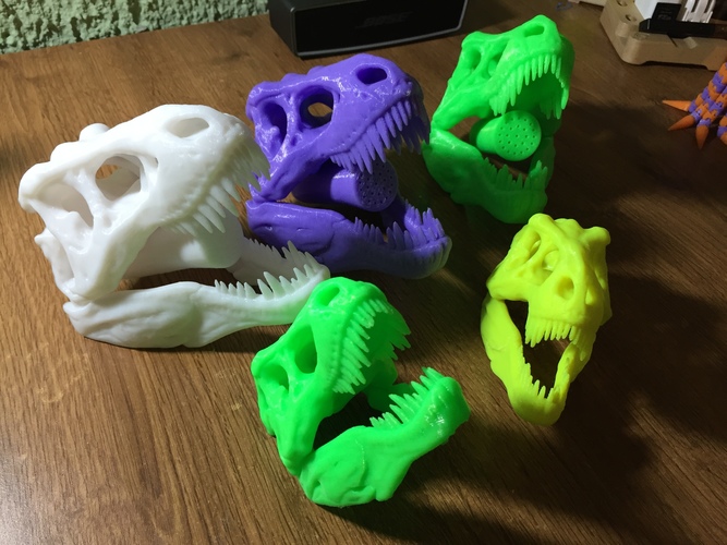 The T-Rex Skull 3D Print 7090 The T-Rex Skull 3D Print 7090