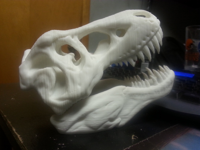 The T-Rex Skull 3D Print 7239 The T-Rex Skull 3D Print 7239
