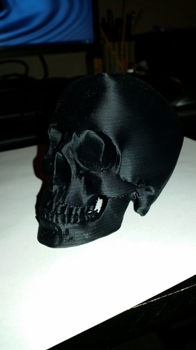 Skull 3D Print 7349 Skull 3D Print 7349