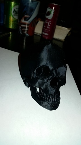 Skull 3D Print 7350 Skull 3D Print 7350