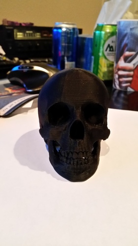 Skull 3D Print 7351 Skull 3D Print 7351