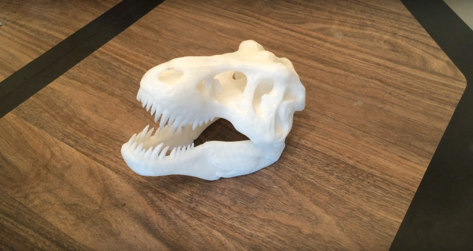 The T-Rex Skull 3D Print 7702 The T-Rex Skull 3D Print 7702