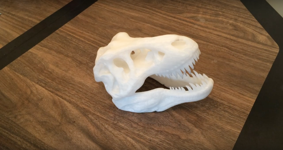 The T-Rex Skull 3D Print 7703 The T-Rex Skull 3D Print 7703