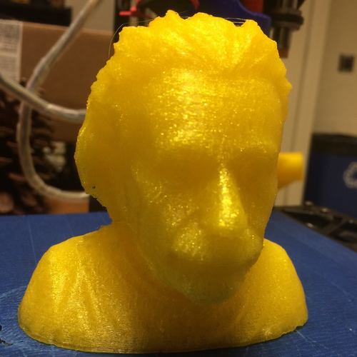 Einstein Bust (14K) 3D Print 7713 Einstein Bust (14K) 3D Print 7713