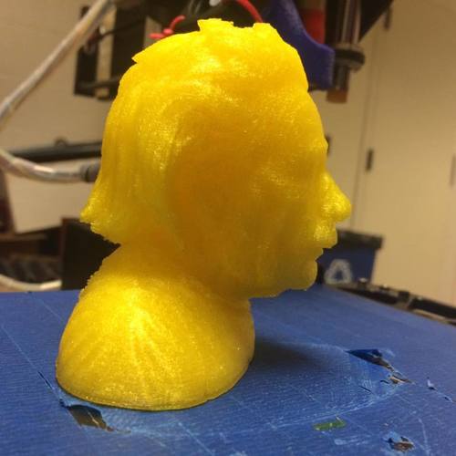 Einstein Bust (14K) 3D Print 7714 Einstein Bust (14K) 3D Print 7714