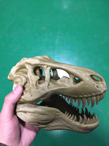 The T-Rex Skull 3D Print 7799 The T-Rex Skull 3D Print 7799