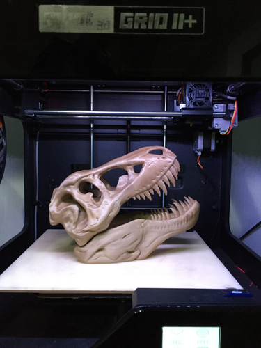 The T-Rex Skull 3D Print 7800 The T-Rex Skull 3D Print 7800