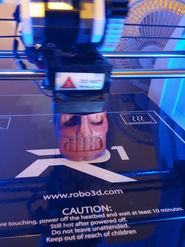 Spelunky Golden Idol 3D Print 8326 Spelunky Golden Idol 3D Print 8326