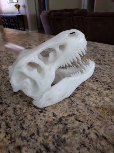The T-Rex Skull 3D Print 8357 The T-Rex Skull 3D Print 8357