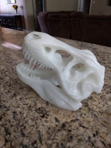 The T-Rex Skull 3D Print 8358 The T-Rex Skull 3D Print 8358