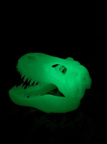 The T-Rex Skull 3D Print 8359 The T-Rex Skull 3D Print 8359
