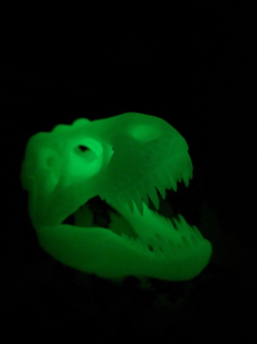 The T-Rex Skull 3D Print 8360 The T-Rex Skull 3D Print 8360