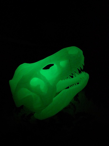 The T-Rex Skull 3D Print 8361 The T-Rex Skull 3D Print 8361