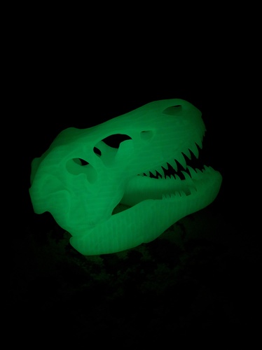 The T-Rex Skull 3D Print 8362 The T-Rex Skull 3D Print 8362