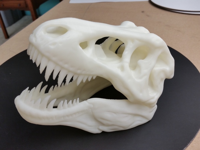 The T-Rex Skull 3D Print 8479 The T-Rex Skull 3D Print 8479
