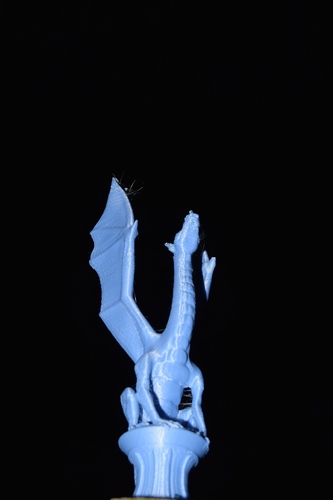Aria the Dragon 3D Print 8770 Aria the Dragon 3D Print 8770