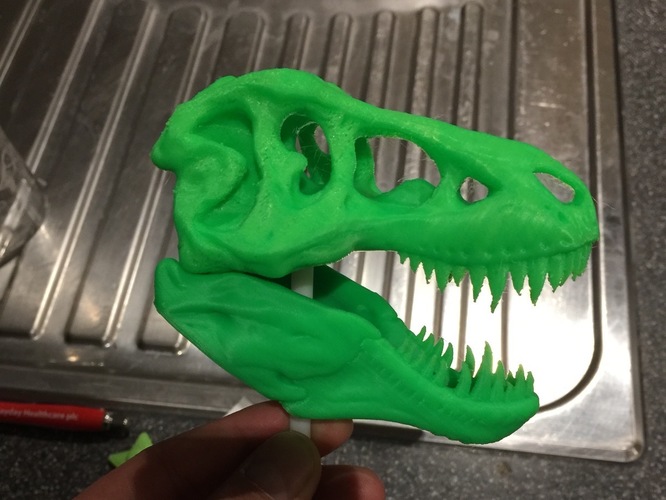 The T-Rex Skull 3D Print 9563 The T-Rex Skull 3D Print 9563