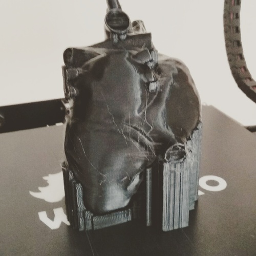Anatomical Heart 3D Print 9671 Anatomical Heart 3D Print 9671
