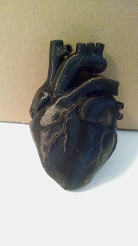 Anatomical Heart 3D Print 9672 Anatomical Heart 3D Print 9672