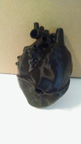 Anatomical Heart 3D Print 9673 Anatomical Heart 3D Print 9673