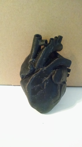 Anatomical Heart 3D Print 9674 Anatomical Heart 3D Print 9674