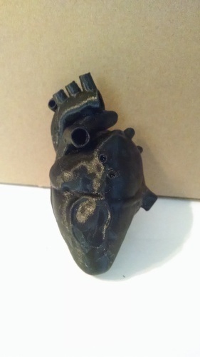 Anatomical Heart 3D Print 9675 Anatomical Heart 3D Print 9675