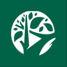 triangletreeservices