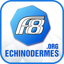 EchinodermPage's avatar