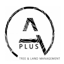 Aplus Treemanagement's avatar