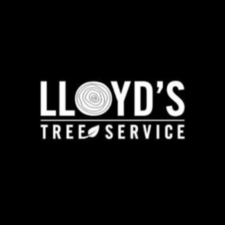 lloydstrees's avatar