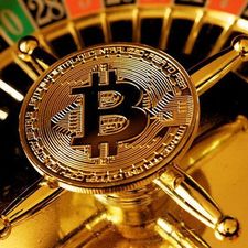 bitcoininterest's avatar