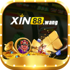 xin88wang's avatar