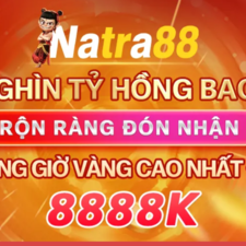 natra88biz's avatar