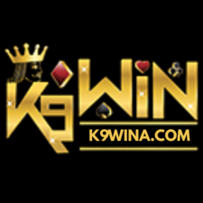 K9win's avatar
