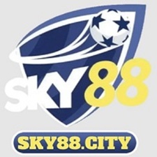sky88city's avatar