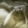 View ralph_gerdemann's profile ralph_gerdemann's avatar