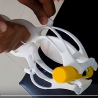 ScorpioHand - Thumbnail 13