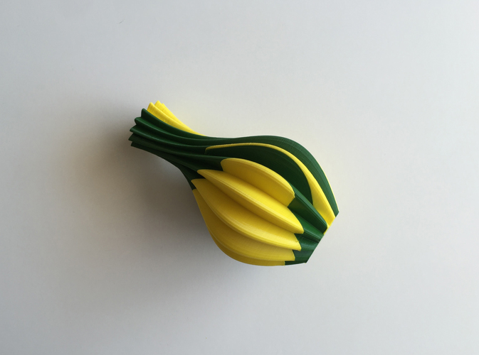 Starelt Vase (Dual Extrusion / 2 Color) 3D Print 100833