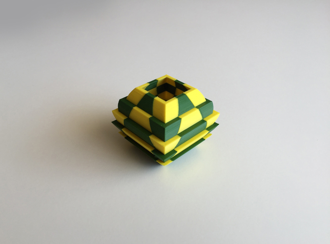 Cacti Vase (Dual Extrusion / 2 Color) 3D Print 100880