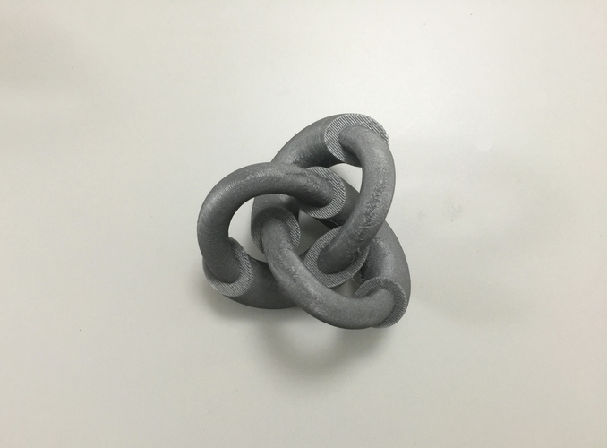 Modified Torus Knot 3D Print 100904
