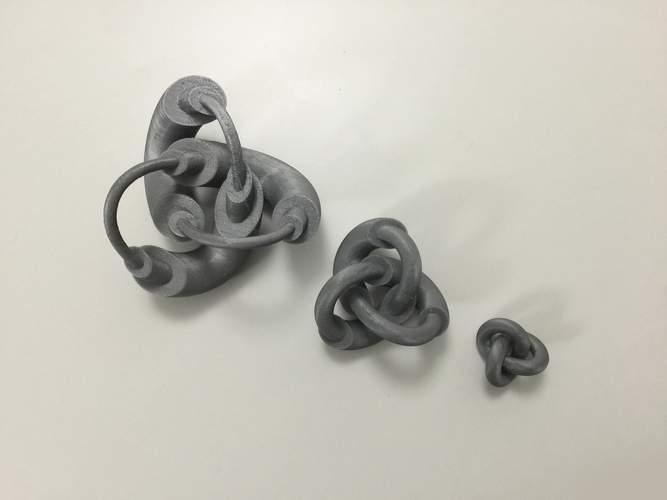 Modified Torus Knot 3D Print 100911