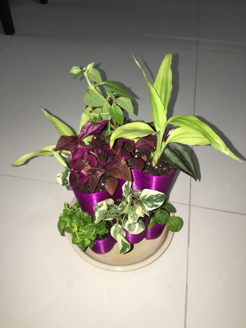 Micro-sized Stacking Pot for Indoor Plants